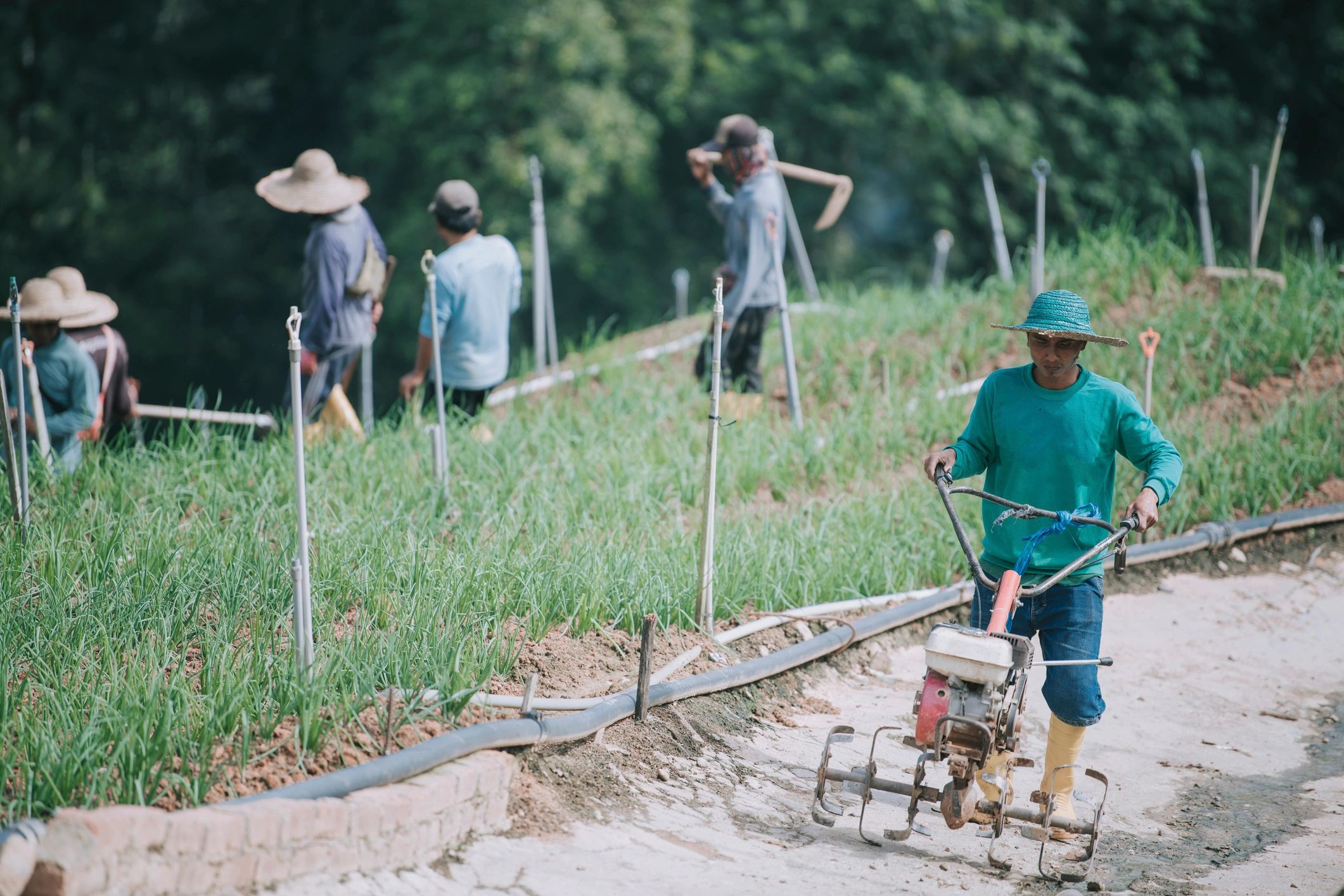 People working outdoors in a field