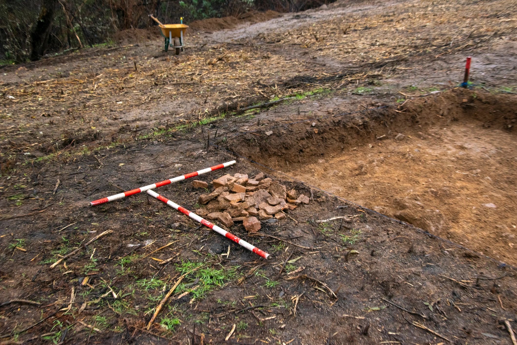 Archaeological excavation area with survey markers